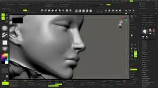 Speedsculpt anatomy zbrush