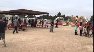 IMG 3546