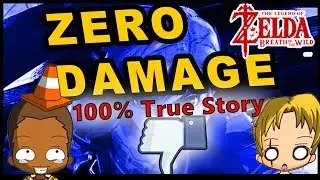 ZERO DAMAGE - A True Story - Zelda Breath of the Wild
