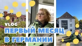 переехала учиться в Германию | влог