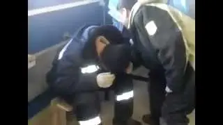 Мышь в штанах - Прикол