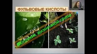 ФУЛЬВОВЫЕ КИСЛОТЫ компании Гринвей