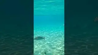 Как умирает смартфон в гидрочехле . Красное море 2019