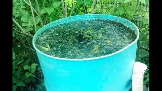 Как избавиться от травы на участке навсегда За 3 Секунды!