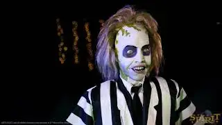 Beetlejuice - Reversed Video