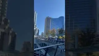 Какая у меня сложная жизнь девочки!