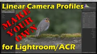 Lightroom Linear Camera Profiles - Make Your Own