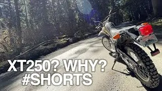 Why I bought a Yamaha XT250 #Shorts