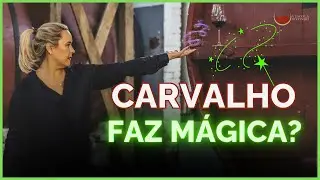 QUAL a Importância Do BARRIL De CARVALHO Para O VINHO