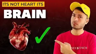 Unbelievable Scientific Study about Heart | We Didn't know | Ferozee