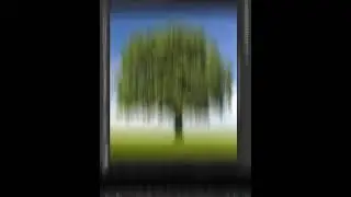 FAST way to remove tree background in Photoshop