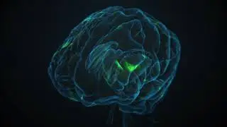 Parkinson Erklärfilme 9 - Was passiert im Kopf