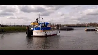 Tewaterlating Super Van Craft 1160 'Beaucarnea'