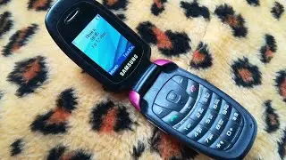 SAMSUNG SGH-C520....