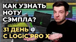 Как узнать тональность или ноту сэмпла - День 8 из 31 с Logic Pro X