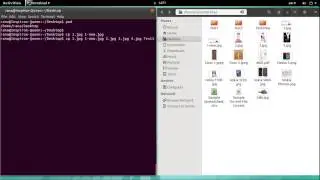 Linux Basics - cp Command (Part 1)