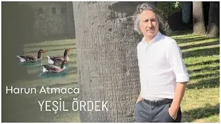 Harun Atmaca yeşil ördek
