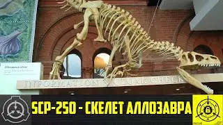 SCP-250 - Скелет аллозавра