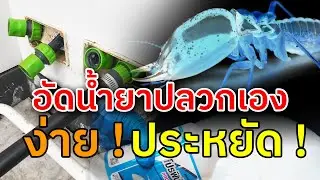 อัดน้ำยาป้องกันปลวกเข้าท่อเอง ประหยัด ทำง่าย