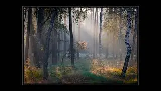 Kai Rosenkranz - Vista Point