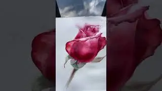 Между художником и картиной тоже небо 💙🤍 #painting #rose #artist #drawing #flowers #watercolor