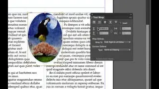 InDesign Basics 09 Text Wrap