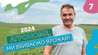 Нехтування сівозміною! Які наслідки? | Агрономе, ми вбиваємо врожай!
