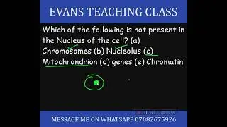 Nucleus