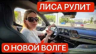 НОВАЯ ВОЛГА 2024 / ЛИСА РУЛИТ
