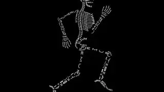 10 Amazing Facts About The Skeleton