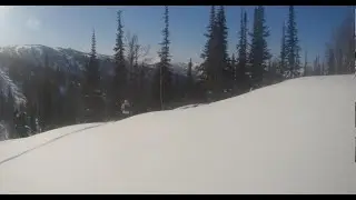 Приисковое 2024