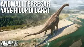 Makhluk Terbesar yang Berjalan di Darat? | Dokumenter Pengantar Tidur