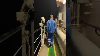 Куда идут? Where do they go?
