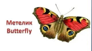 Дивовижні метелики, 1 Клас, образотворче мистецтво
