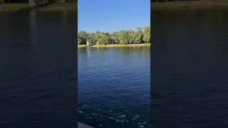 Гомель река Сож