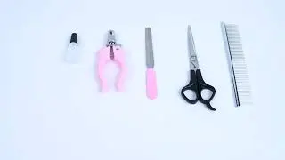video 1