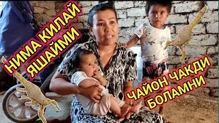 ЧАЙОНЛАР КУРШОВИДА КОЛГАН  ОНА ВА 2 НОРАСИДА