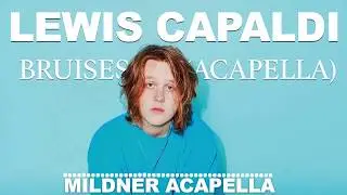 Bruises - Lewis Capaldi (Acapella)