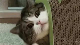 Что снять?