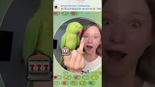 ПОВЕЗЛО)) 🎰 Кружок можно посмотреть в ТГК LizochkaEl