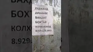 Аз Екатеринбург Таджикистан срочно Газель меравад+79995688125