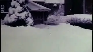 dell park after snow storm