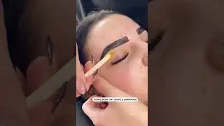 Brow Lamination Transformations