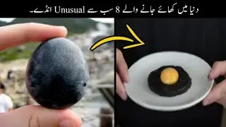 Most Unusual Eggs In the world | Mr. Cheetah 🐯
