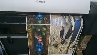 Vinyl sticker printing
