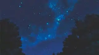 Lil Peep-Star Shopping