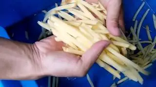 VID 20160712 134730