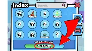 How To Increase Your Pet Index (Race Clicker) [Roblox]