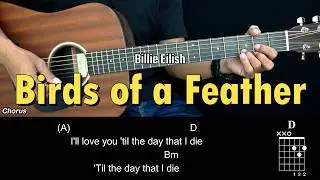 Birds of a Feather - Billie Eilish | EASY Guitar Tutorial with Chords - Guitar Lessons