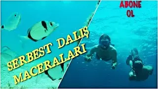 Ayvalık Badavut Sahilinde Serbest Dalış Yaptık |  EN GÜZEL DENİZ